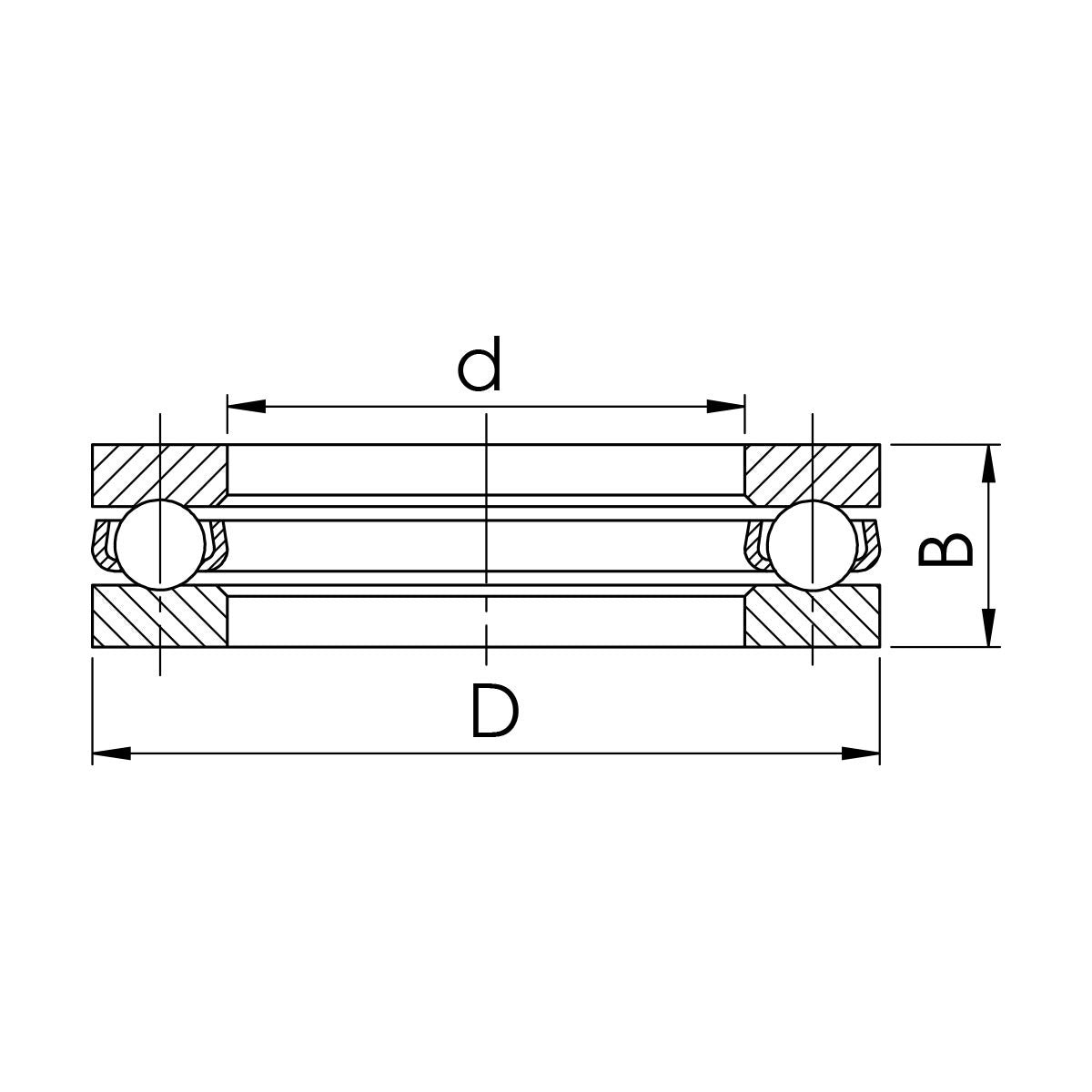 51203 - CODICE